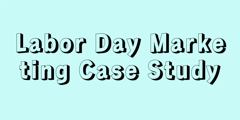 Labor Day Marketing Case Study