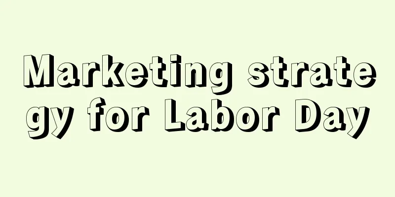 Marketing strategy for Labor Day