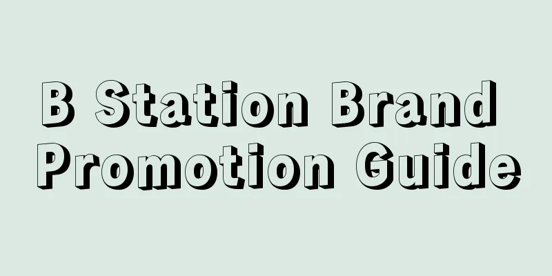 B Station Brand Promotion Guide