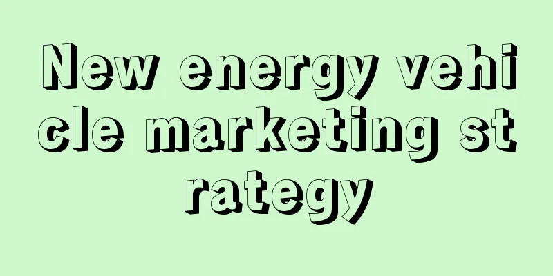 New energy vehicle marketing strategy