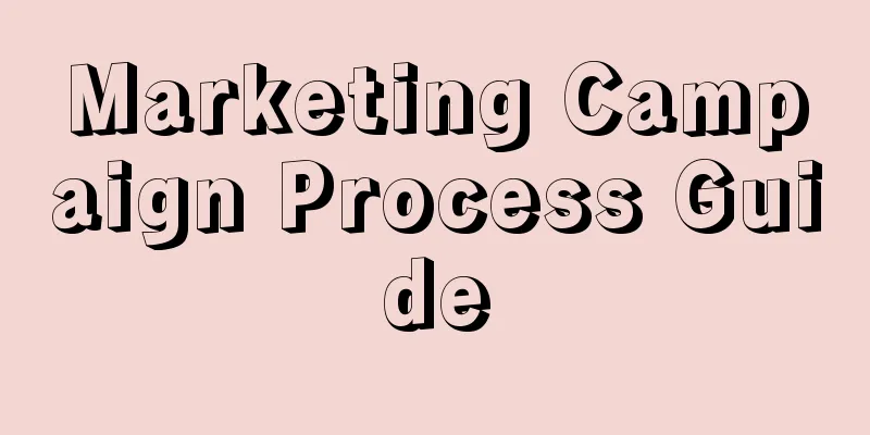 Marketing Campaign Process Guide