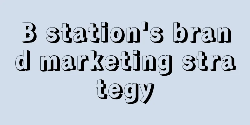 B station's brand marketing strategy