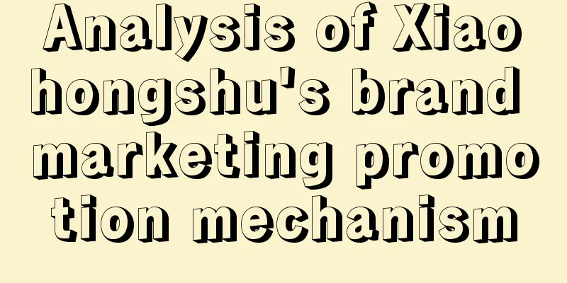 Analysis of Xiaohongshu's brand marketing promotion mechanism