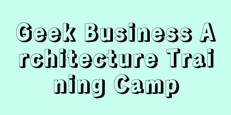 Geek Business Architecture Training Camp