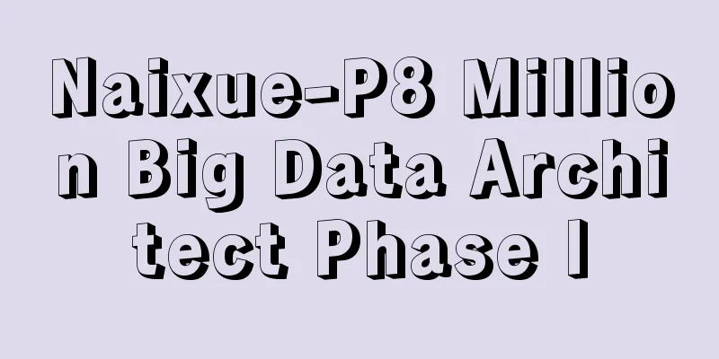 Naixue-P8 Million Big Data Architect Phase I