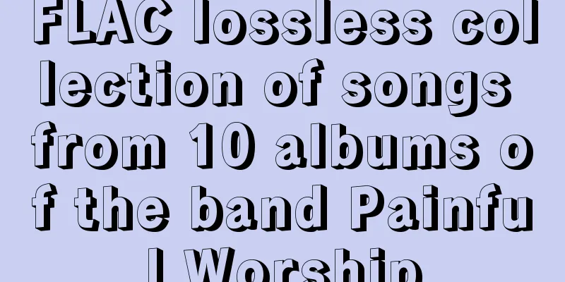 FLAC lossless collection of songs from 10 albums of the band Painful Worship