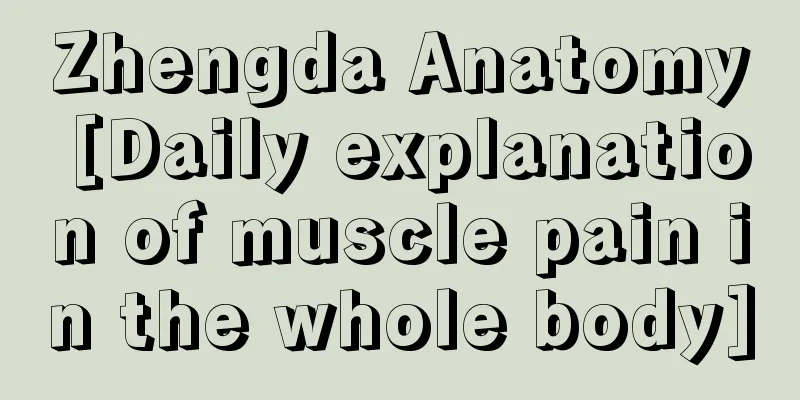 Zhengda Anatomy [Daily explanation of muscle pain in the whole body]