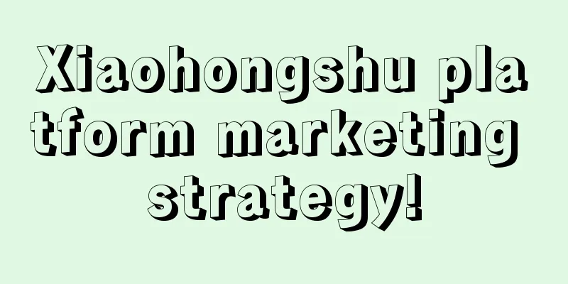 Xiaohongshu platform marketing strategy!