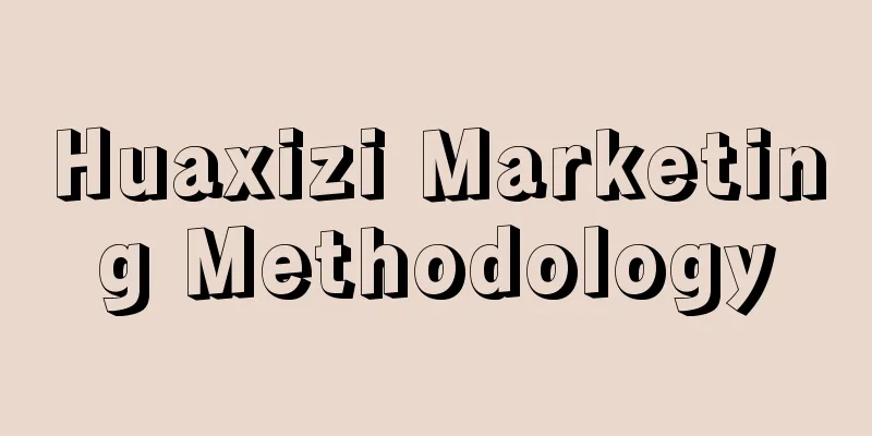 Huaxizi Marketing Methodology