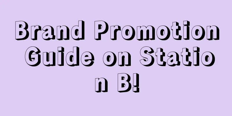 Brand Promotion Guide on Station B!