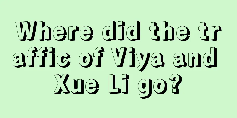 Where did the traffic of Viya and Xue Li go?