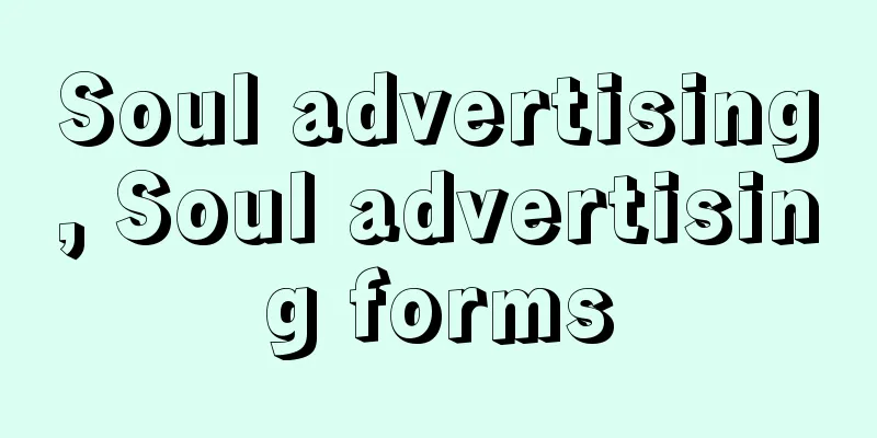 Soul advertising, Soul advertising forms