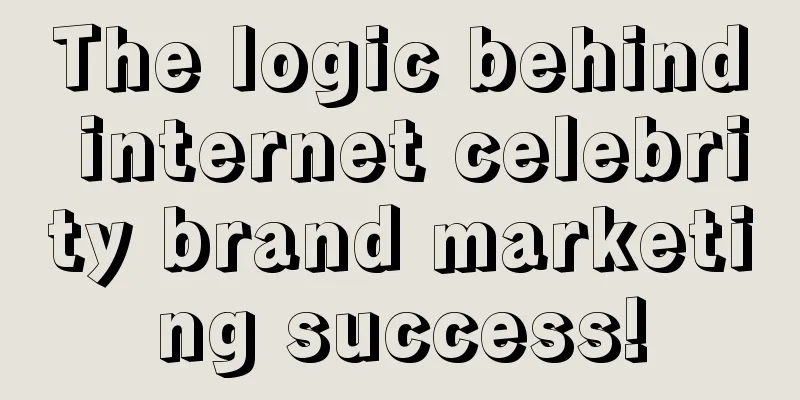 The logic behind internet celebrity brand marketing success!