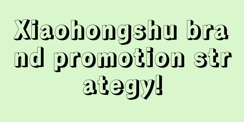 Xiaohongshu brand promotion strategy!