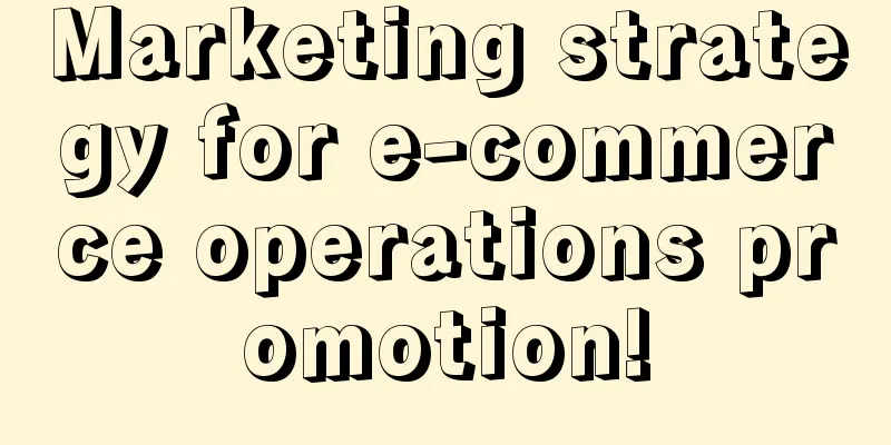 Marketing strategy for e-commerce operations promotion!