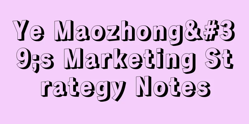 Ye Maozhong's Marketing Strategy Notes