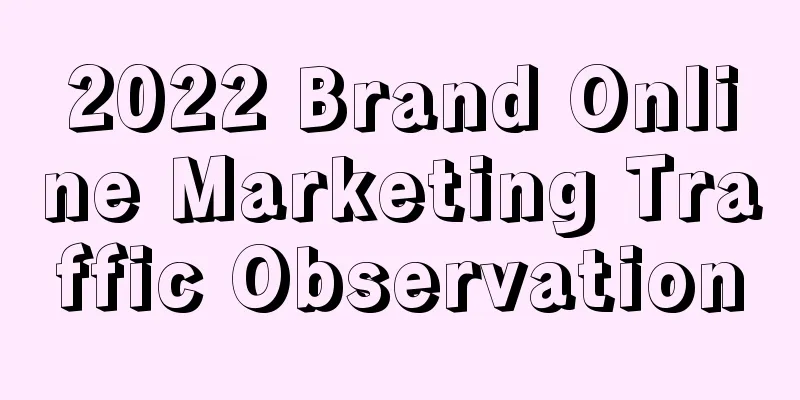 2022 Brand Online Marketing Traffic Observation