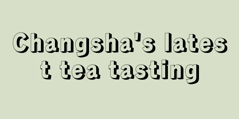 Changsha's latest tea tasting