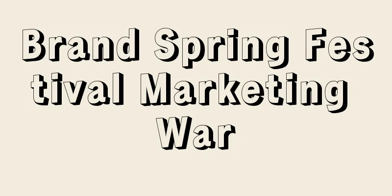 Brand Spring Festival Marketing War