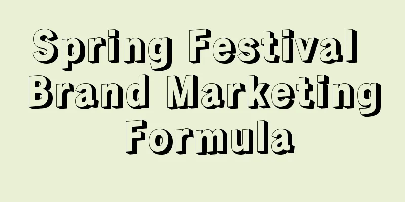 Spring Festival Brand Marketing Formula