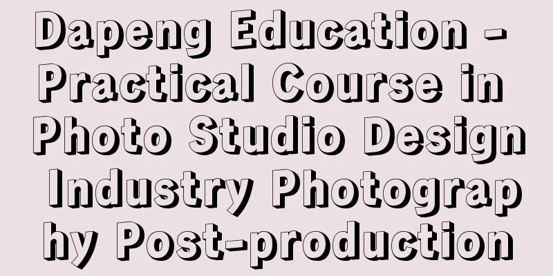 Dapeng Education - Practical Course in Photo Studio Design Industry Photography Post-production