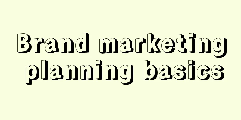 Brand marketing planning basics