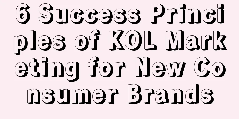 6 Success Principles of KOL Marketing for New Consumer Brands