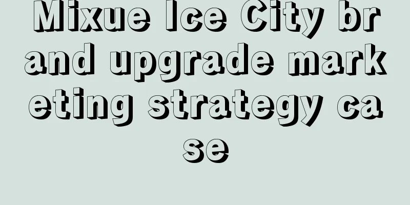 Mixue Ice City brand upgrade marketing strategy case