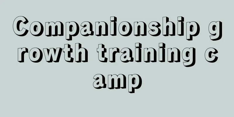 Companionship growth training camp