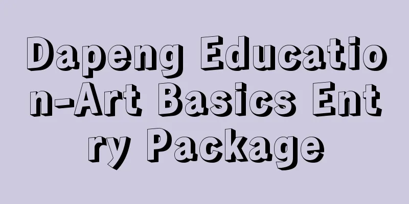 Dapeng Education-Art Basics Entry Package