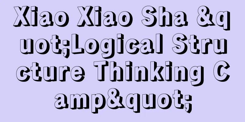 Xiao Xiao Sha "Logical Structure Thinking Camp"