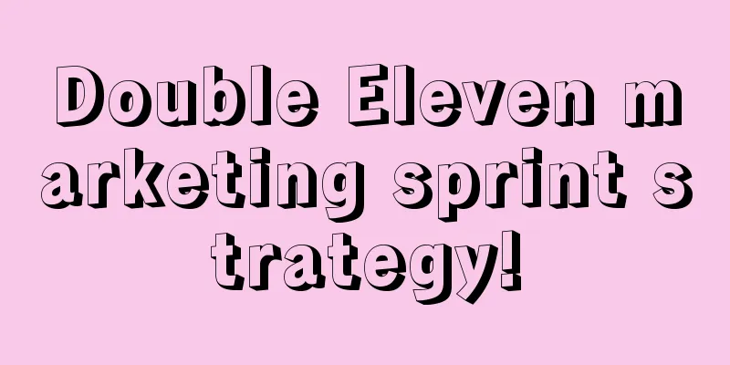 Double Eleven marketing sprint strategy!