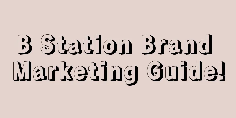 B Station Brand Marketing Guide!