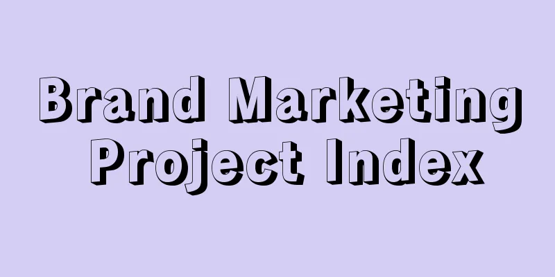 Brand Marketing Project Index