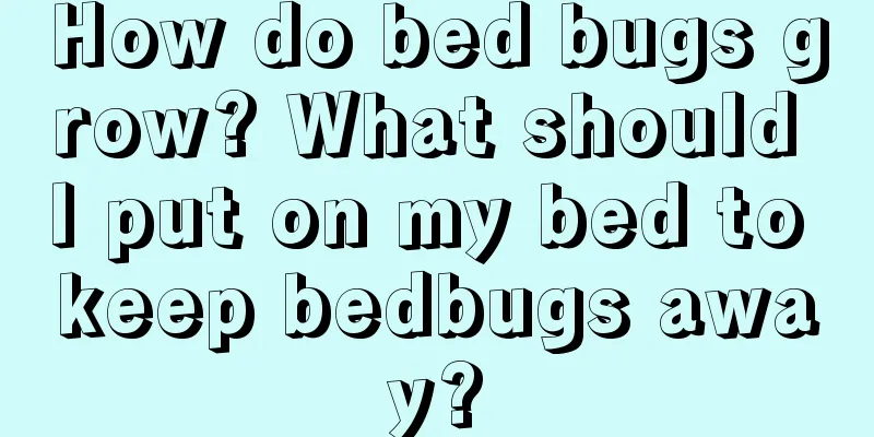 How do bed bugs grow? What should I put on my bed to keep bedbugs away?