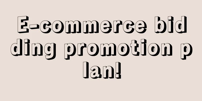 E-commerce bidding promotion plan!