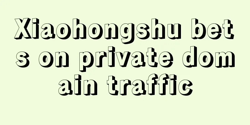 Xiaohongshu bets on private domain traffic