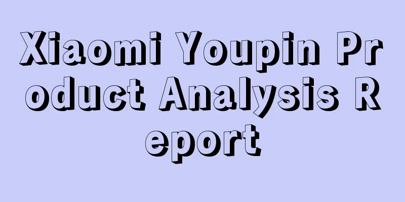 Xiaomi Youpin Product Analysis Report