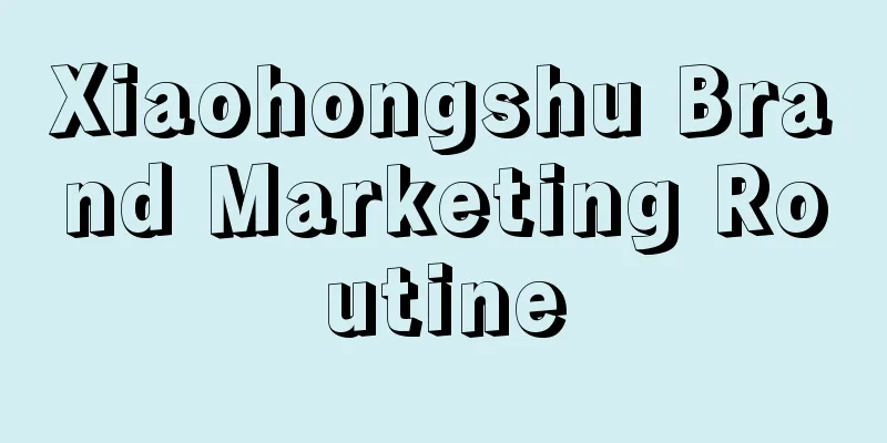 Xiaohongshu Brand Marketing Routine