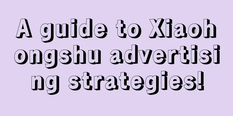 A guide to Xiaohongshu advertising strategies!