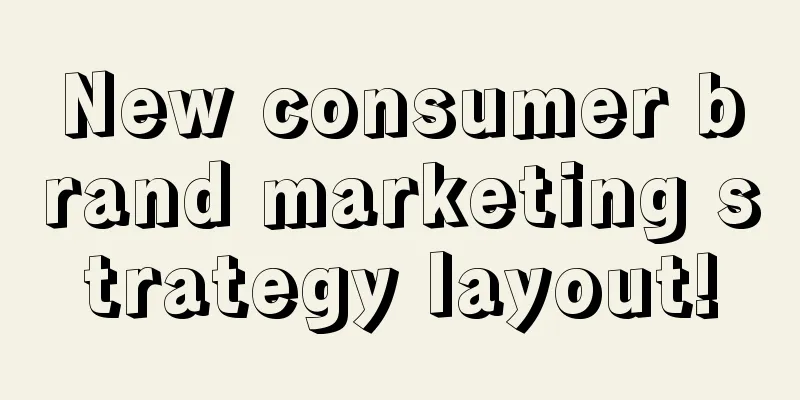 New consumer brand marketing strategy layout!