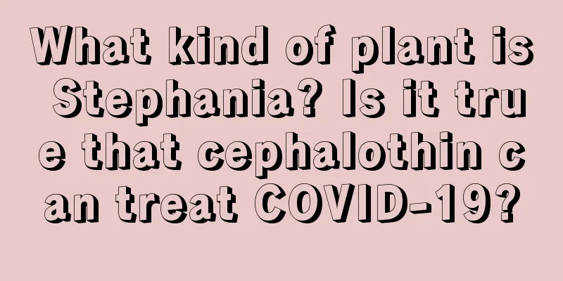 What kind of plant is Stephania? Is it true that cephalothin can treat COVID-19?