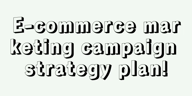 E-commerce marketing campaign strategy plan!