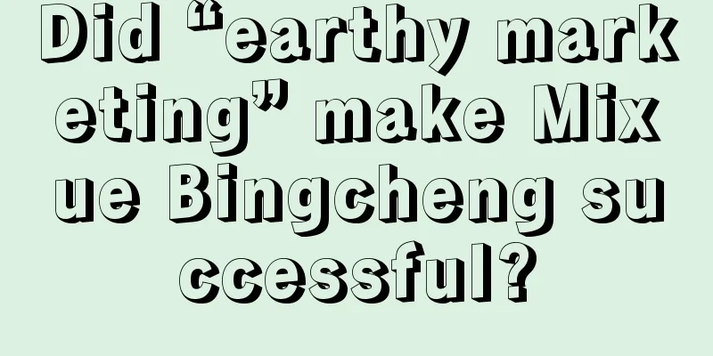 Did “earthy marketing” make Mixue Bingcheng successful?