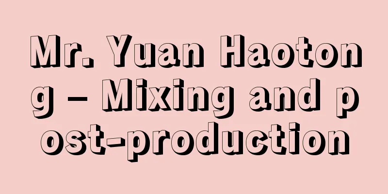 Mr. Yuan Haotong – Mixing and post-production