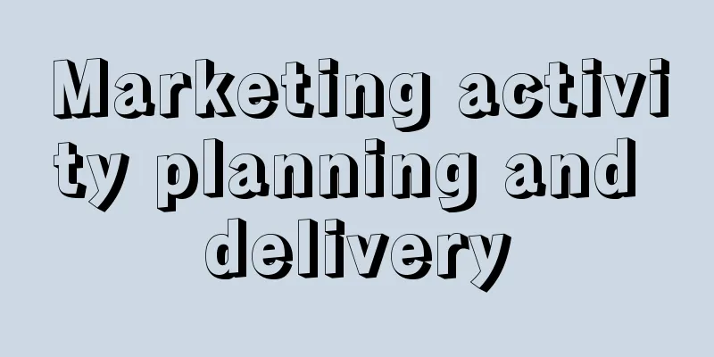 Marketing activity planning and delivery