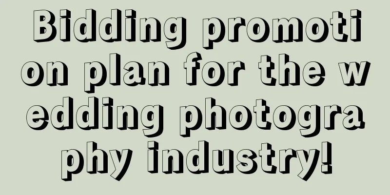 Bidding promotion plan for the wedding photography industry!