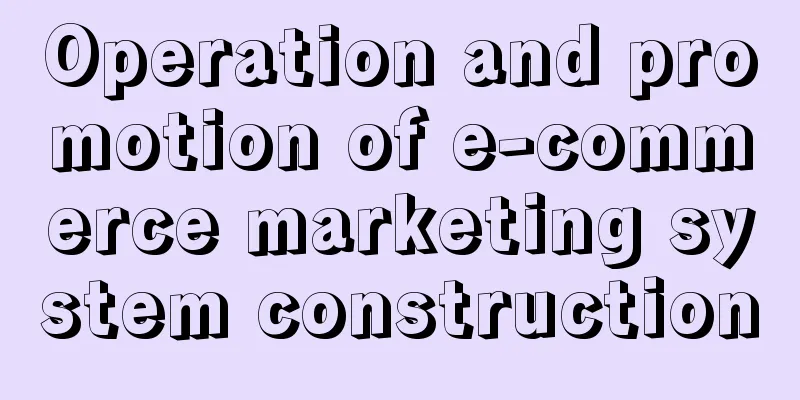 Operation and promotion of e-commerce marketing system construction