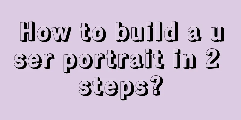 How to build a user portrait in 2 steps?