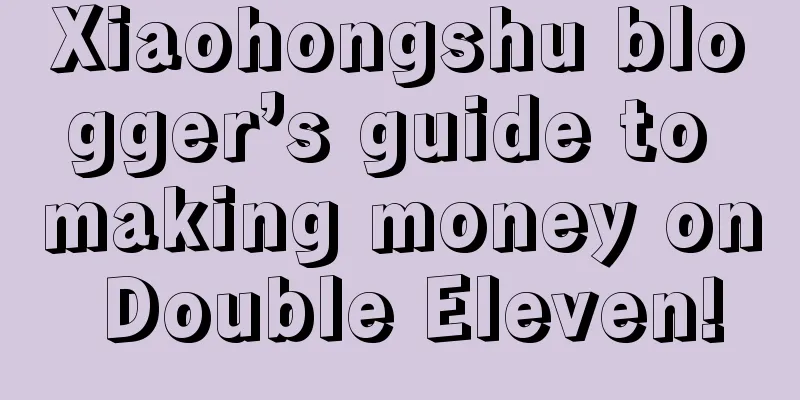 Xiaohongshu blogger’s guide to making money on Double Eleven!